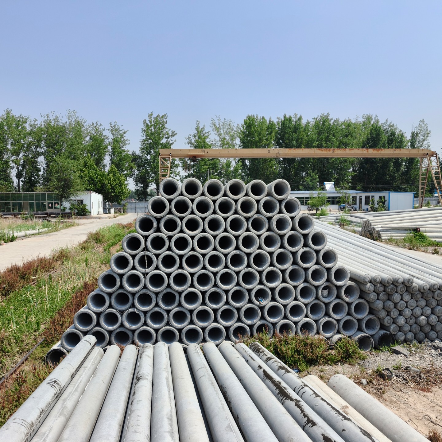 白沙190×10米水泥电线杆